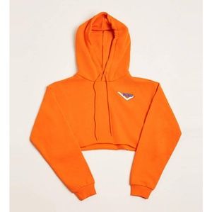 Forever 21, Pony cropped hoodie